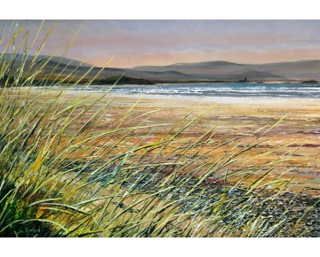 Bannathroughtherushescopy