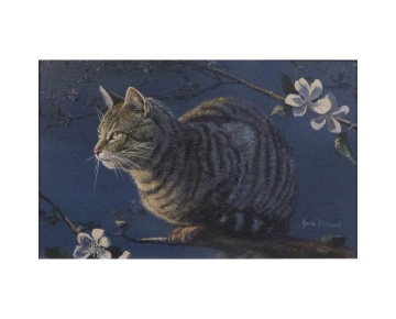 Nightwatch 650Painting16 x10 frame26 x20 50712989-7665-43bd-9fbe-f9b006cd6abc