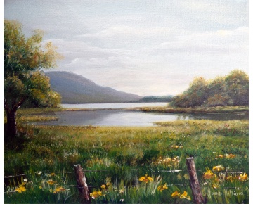 YellowirisesKillarney.