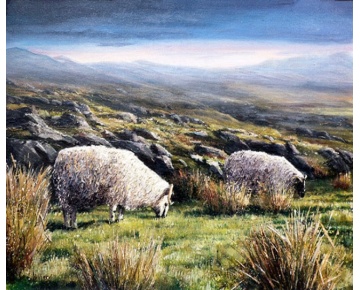 mountainsheeppsdcopy