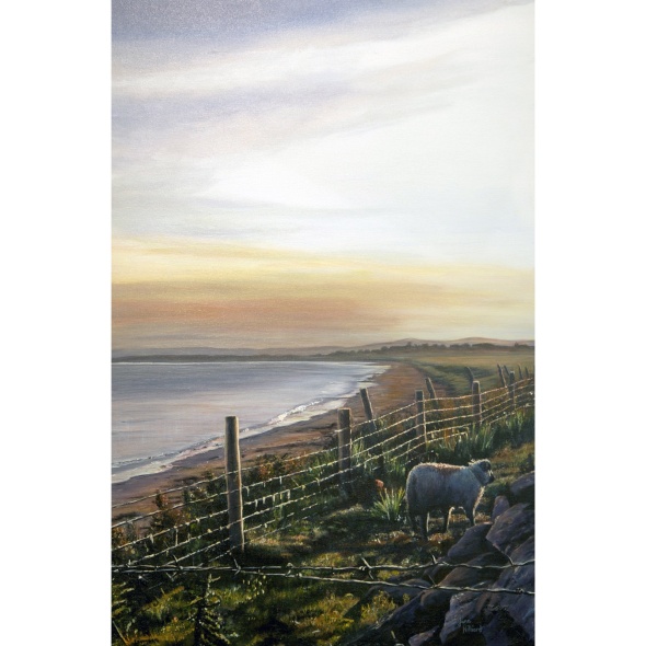 EarlyMorningGrazing 2350 Framedsize93x124cm TraleeBayCo.Kerry.WildAtlanticWayontheDinglePeninsula cd2c2ec6-a2ce-47f9-aab0-6b9cb7c44884