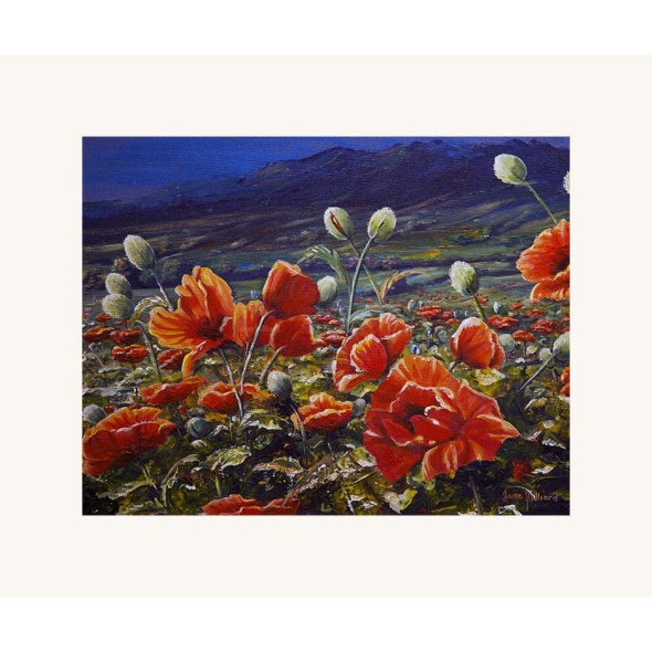 PoppiesandPurpleHills 780 Framedsize70x58cm Beautifulredwildflowers